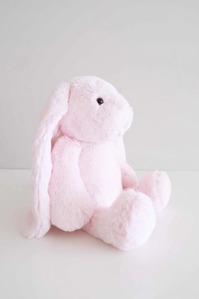 Embroidered Large Cuddle Plush Friends | Honey Bunny - Image 32
